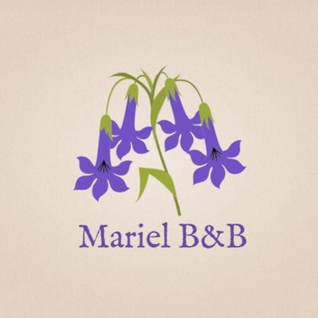 Mariel B&B ブエノスアイレス エクステリア 写真