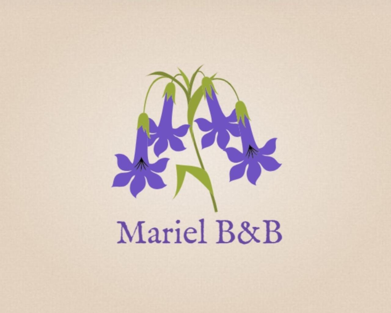 Mariel B&B ブエノスアイレス エクステリア 写真